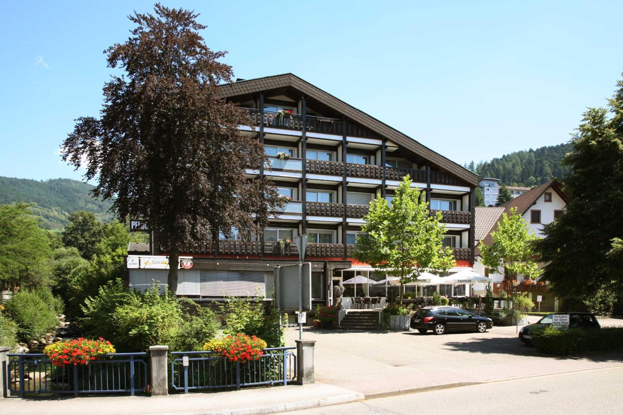 فندق فلوغ Ottenhofen im Schwarzwald المظهر الخارجي الصورة